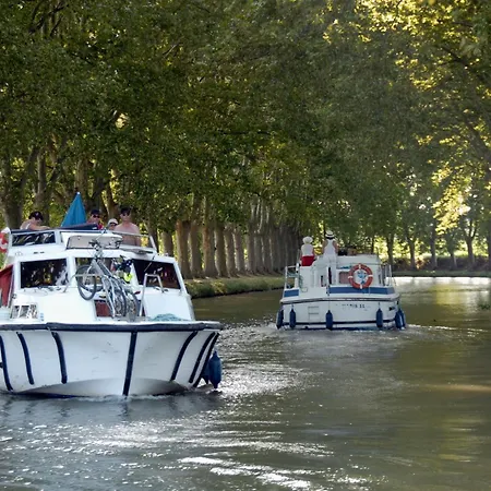 Appartement La Orange - Proche Cite Medievale Et Centre A Pied Carcassonne